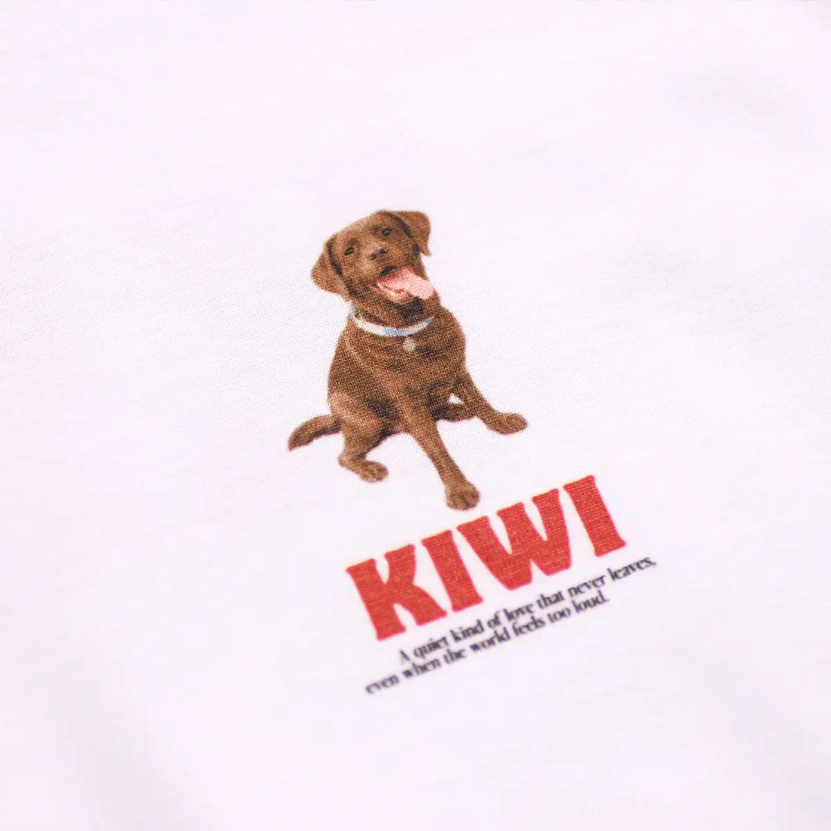 รับสกรีนเสื้อ กระบี่ ตัวอย่างงานสกรีนเสื้อ DTG